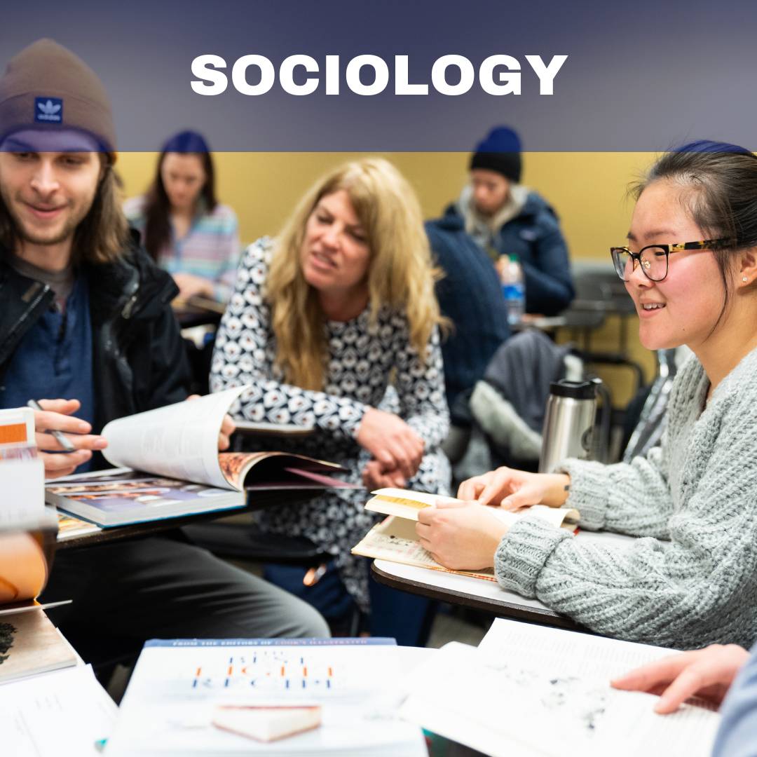 sociology